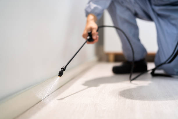 Licensed Pest Control service in South Duxbury, MA - Show Me Pest Control