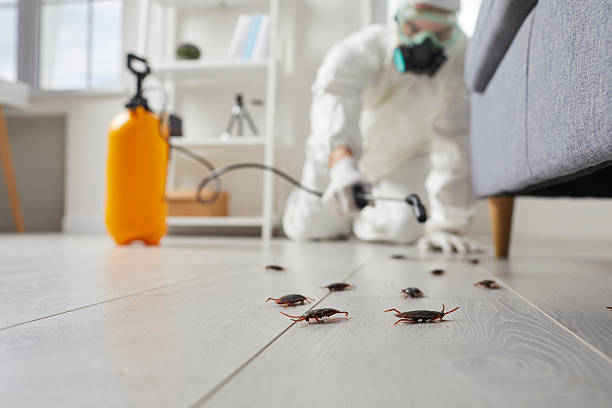 Commercial Kitchen Cockroach Control in South Duxbury